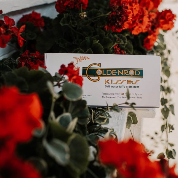 Shop Online for Locally Made Maine Candy from The Goldenrod